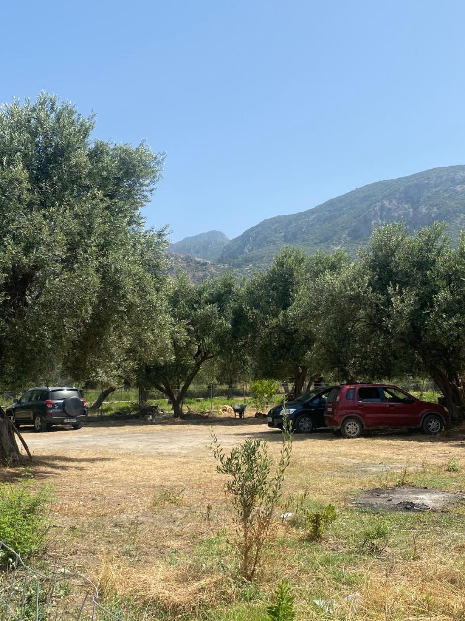 Irini'S Guesthouse Qeparo Bagian luar foto
