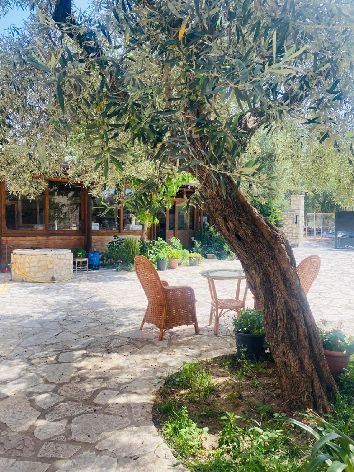 Irini'S Guesthouse Qeparo Bagian luar foto