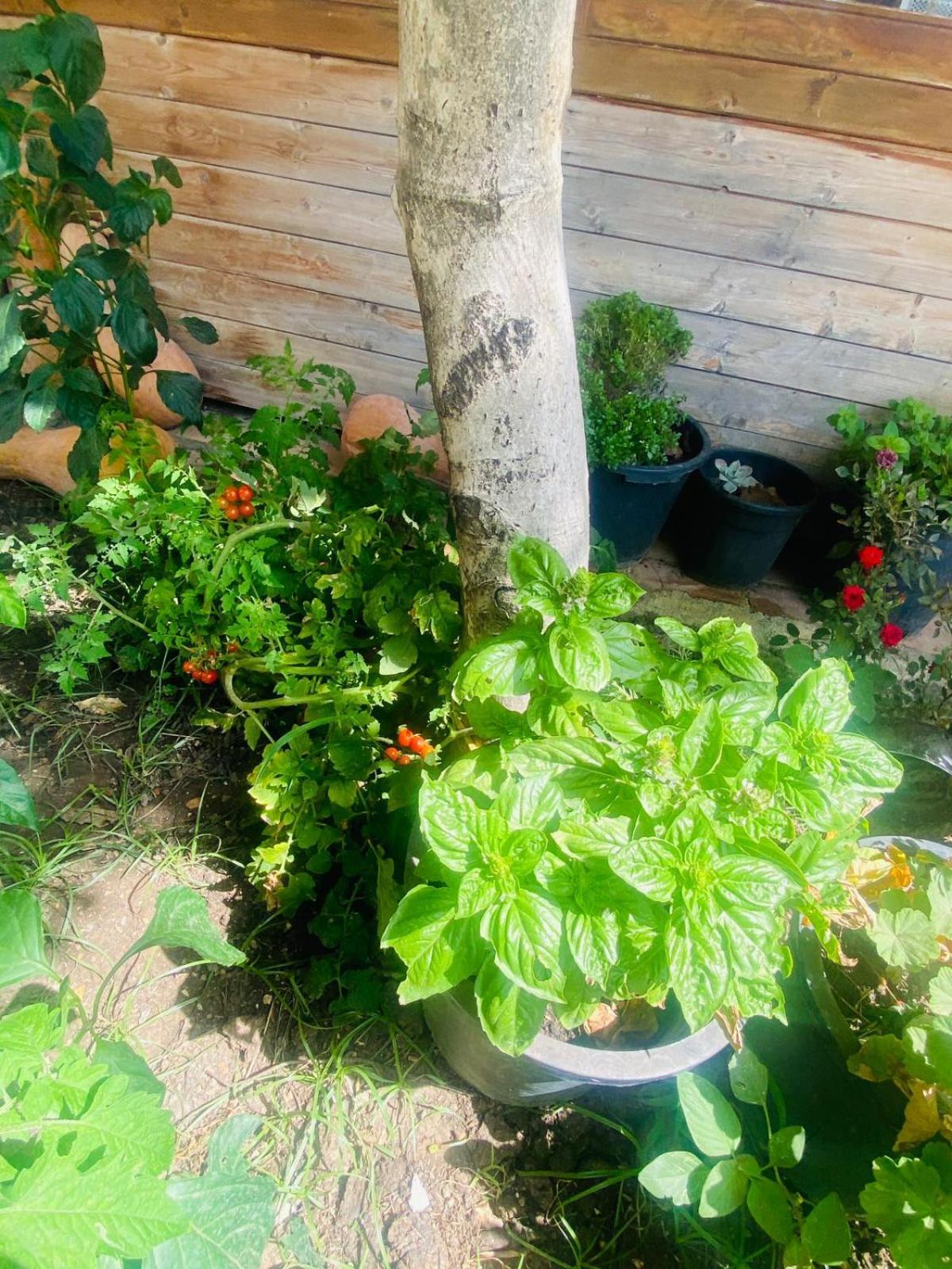 Irini'S Guesthouse Qeparo Bagian luar foto